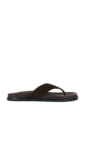 Loop Flip Flop in . Size 36. Also in 37, 39 - Tony Bianco - Modalova