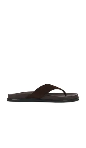 Loop Flip Flop in . Size 36. Also in 38 - Tony Bianco - Modalova