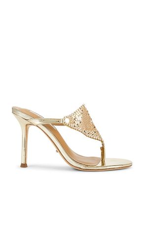 Demure Sandal in Metallic Gold. - size 5 (also in 6.5, 7, 7.5, 8, 8.5, 9, 9.5) - Tony Bianco - Modalova