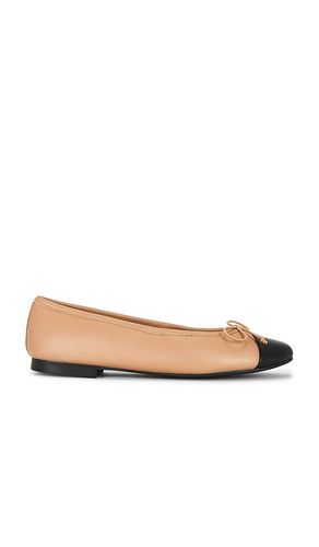 Cappa Flat in . Size 10. Also in 7, 9 - Tony Bianco - Modalova