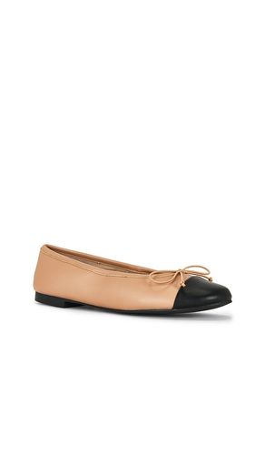 Cappa Flat in . Size 10. Also in 7, 9 - Tony Bianco - Modalova