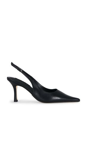 PUMPS SAMAR in . Größe 5.5. Also in 6, 7, 7.5, 8, 8.5, 9, 9.5 - Tony Bianco - Modalova
