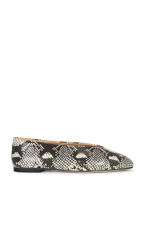 Bash Ballet Flat in . Size 5.5. Also in 6, 7, 7.5, 8, 8.5, 9 - Tony Bianco - Modalova