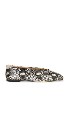 Bash Ballet Flat in . Taglia 5.5. Also in 6, 7, 7.5, 8, 8.5, 9 - Tony Bianco - Modalova