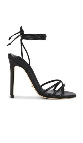 Kaz Strappy Sandal in Black. - size 5.5 (also in 6, 6.5, 7, 7.5, 8, 9) - Tony Bianco - Modalova