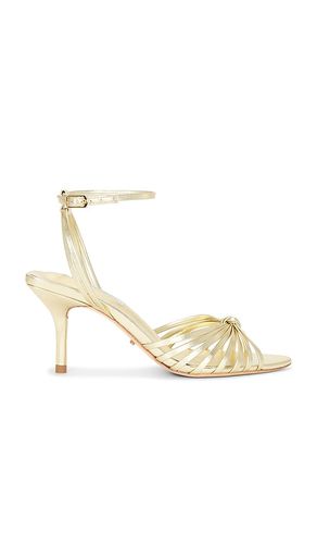 Hailey Sandal in . Size 6. Also in 6.5 - Tony Bianco - Modalova
