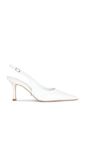 PUMPS SAMAR in . Größe 10. Also in 5.5, 6, 6.5, 7, 7.5, 8, 8.5, 9, 9.5 - Tony Bianco - Modalova