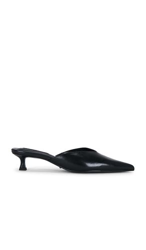 PUMPS CONNIE in . Größe 10. Also in 5, 5.5, 6, 6.5, 7, 8, 9 - Tony Bianco - Modalova