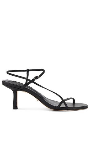 Caprice Heel in . - size 5.5 (also in 6, 6.5, 7, 8) - Tony Bianco - Modalova