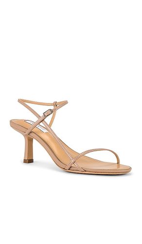 Caprice Heel in . Taglia 6. Also in 5, 5.5, 7, 8.5, 9.5, 11 - Tony Bianco - Modalova