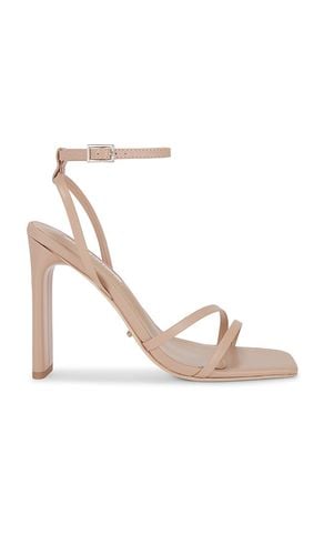 Fiance Sandal in . Size 5, 7 - Tony Bianco - Modalova