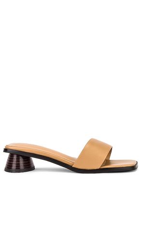 Sandalia chelsey en color beige talla 7 en - Beige. Talla 7 (también en 8) - Tony Bianco - Modalova