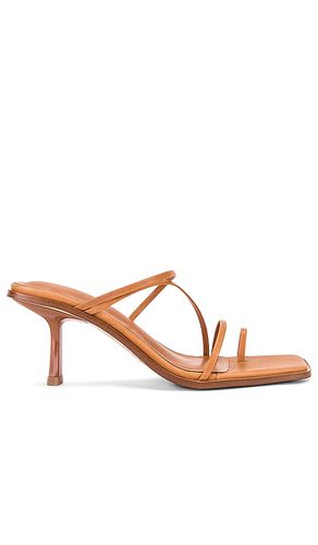 Danni Sandal in . Size 5.5, 6.5, 7, 7.5, 8, 8.5, 9, 9.5 - Tony Bianco - Modalova