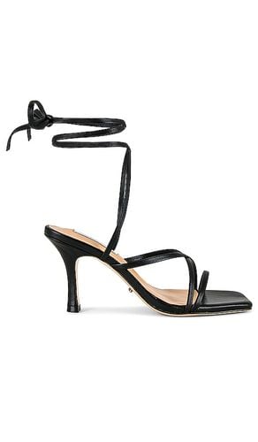 Caden Heel in Black Nappa in Black. - size 5 (also in 5.5) - Tony Bianco - Modalova