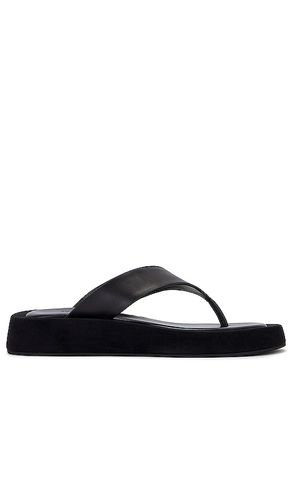 Ives Sandal in Black. - size 10 (also in 5, 6, 7, 8, 9) - Tony Bianco - Modalova