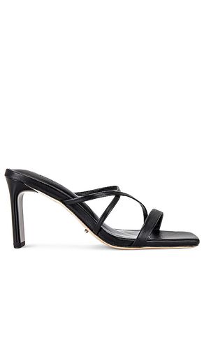 Classic Heel in Black. - size 5 (also in 5.5) - Tony Bianco - Modalova