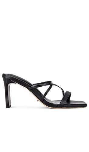 Classic heel in color black size 10 in - Black. Size 10 (also in 5) - Tony Bianco - Modalova