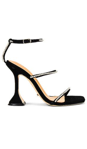 Shy sandal in color black size 7.5 in - Black. Size 7.5 (also in 8.5) - Tony Bianco - Modalova