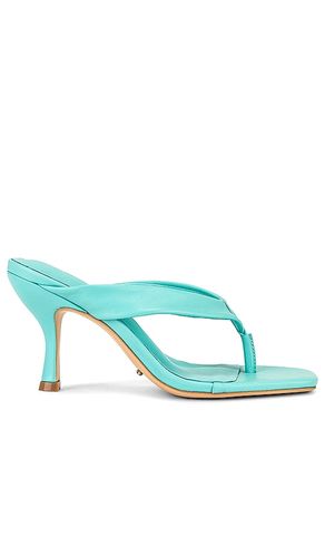 Sandalia bellah en color azul turqueza talla 7 en - Turquoise. Talla 7 (también en 8) - Tony Bianco - Modalova