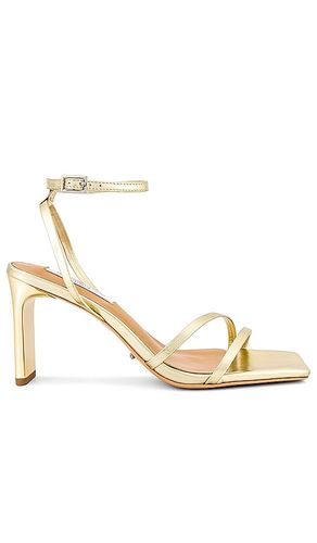 Corso Heel in Metallic Gold. - size 10 (also in 5, 5.5, 6, 7.5, 8, 8.5, 9, 9.5) - Tony Bianco - Modalova
