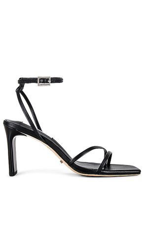 Corso Sandal in Black. - size 10 (also in 5, 5.5, 6, 7, 7.5, 8, 8.5, 9, 9.5) - Tony Bianco - Modalova