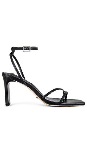 Corso sandal in color black size 10 in - Black. Size 10 (also in 5, 5.5, 6.5, 7.5, 8.5, 9.5) - Tony Bianco - Modalova