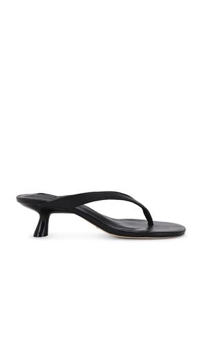 Krista Sandal in . - size 10 (also in 5.5, 6, 6.5, 8.5, 9.5) - Tony Bianco - Modalova