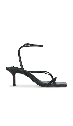 Avi Sandal in Black. - size 5.5 (also in 5, 6.5, 7, 7.5, 8, 8.5, 9.5) - Tony Bianco - Modalova