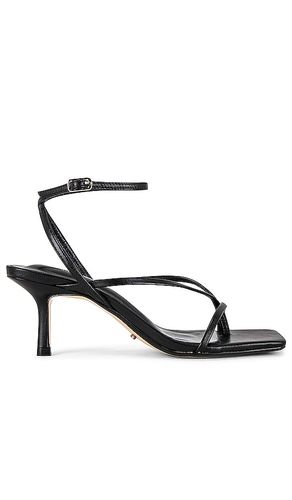 Avi Sandal in Black. - size 5.5 (also in 5, 6, 6.5, 7, 7.5, 8, 8.5) - Tony Bianco - Modalova