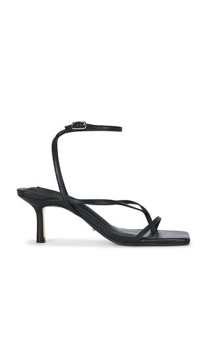 Avi Sandal in Black. - size 5.5 (also in 5, 7, 8.5) - Tony Bianco - Modalova