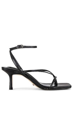 Avi Sandal in Black. - size 5 (also in 7.5) - Tony Bianco - Modalova