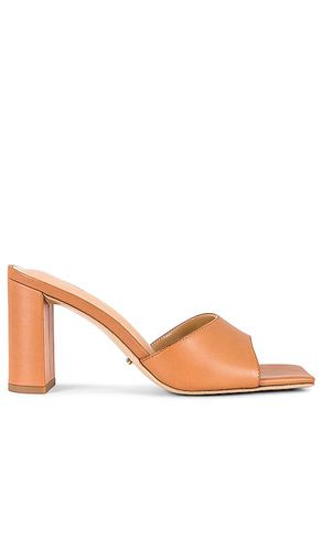 Mules hot sale tony bianco