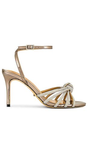 Helena Sandal in Metallic Gold. - size 5 (also in 6, 6.5, 7, 7.5, 9.5) - Tony Bianco - Modalova