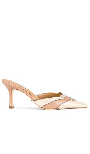 Shuga Mule in . Size 5.5, 6, 7 - Tony Bianco - Modalova