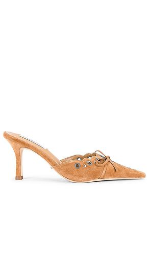 Shae Mule in Burnt Orange. - size 10 (also in 5, 5.5, 6, 6.5, 7, 7.5, 8, 8.5, 9, 9.5) - Tony Bianco - Modalova