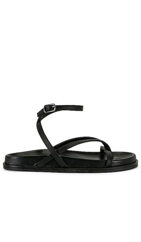 Lucie Sandal in Black. - size 37 (also in 40) - Tony Bianco - Modalova