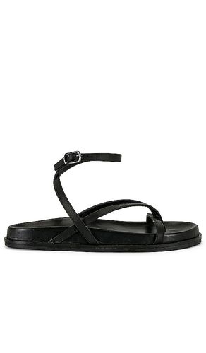 Lucie Sandal in Black. - size 41 (also in 36) - Tony Bianco - Modalova