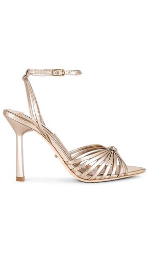 Maxos Heel in Metallic Bronze. - size 5 (also in 5.5, 6, 6.5, 7, 7.5, 8, 8.5, 9) - Tony Bianco - Modalova