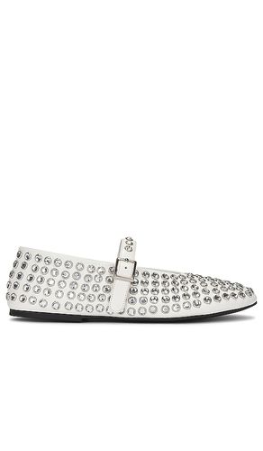 Miami Flat in . - size 6.5 (also in 7, 7.5, 8, 8.5, 9) - Tony Bianco - Modalova