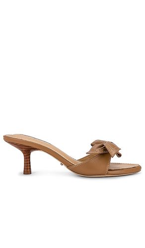 Dakota Mule in . Size 5.5, 6, 8 - Tony Bianco - Modalova