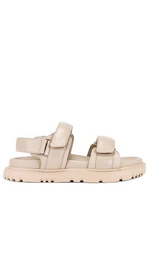 Falcon Sandal in Beige. - size 10 (also in 5, 6, 7, 8, 9) - Tony Bianco - Modalova