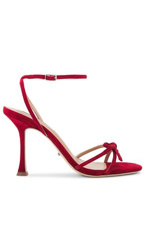 Lover Sandal in Red. - size 5 (also in 5.5, 7.5, 8, 9.5) - Tony Bianco - Modalova