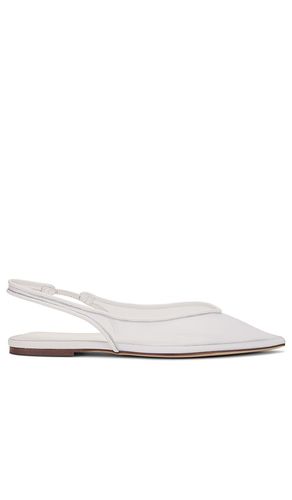 Jazz Flat in . - size 6.5 (also in 8) - Tony Bianco - Modalova