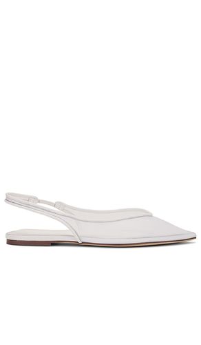 Jazz Flat in . - size 6 (also in 6.5, 7, 7.5, 8) - Tony Bianco - Modalova