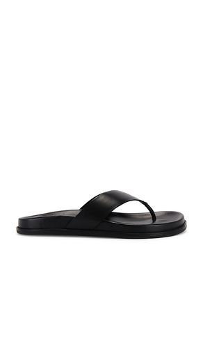 Loop Sandal in . Size 37, 40 - Tony Bianco - Modalova