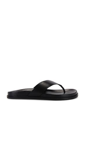 Loop Sandal in . - size 37 (also in 38, 41) - Tony Bianco - Modalova