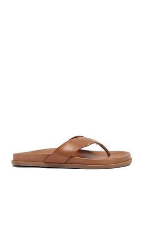 Loop Sandal in Brown. - size 36 (also in 37, 38, 39, 40, 41) - Tony Bianco - Modalova