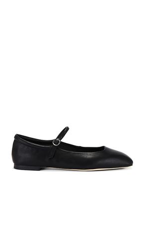 Bambi Flat in . Size 5, 5.5, 6, 6.5, 8 - Tony Bianco - Modalova