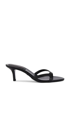 Daisy Sandal in Black. - size 10 (also in 5, 5.5, 6, 6.5, 7, 7.5, 8, 8.5, 9, 9.5) - Tony Bianco - Modalova