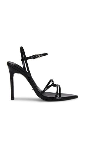 Maya Sandal in Black. - size 5.5 (also in 6, 6.5, 7, 7.5, 8, 8.5, 9, 9.5) - Tony Bianco - Modalova